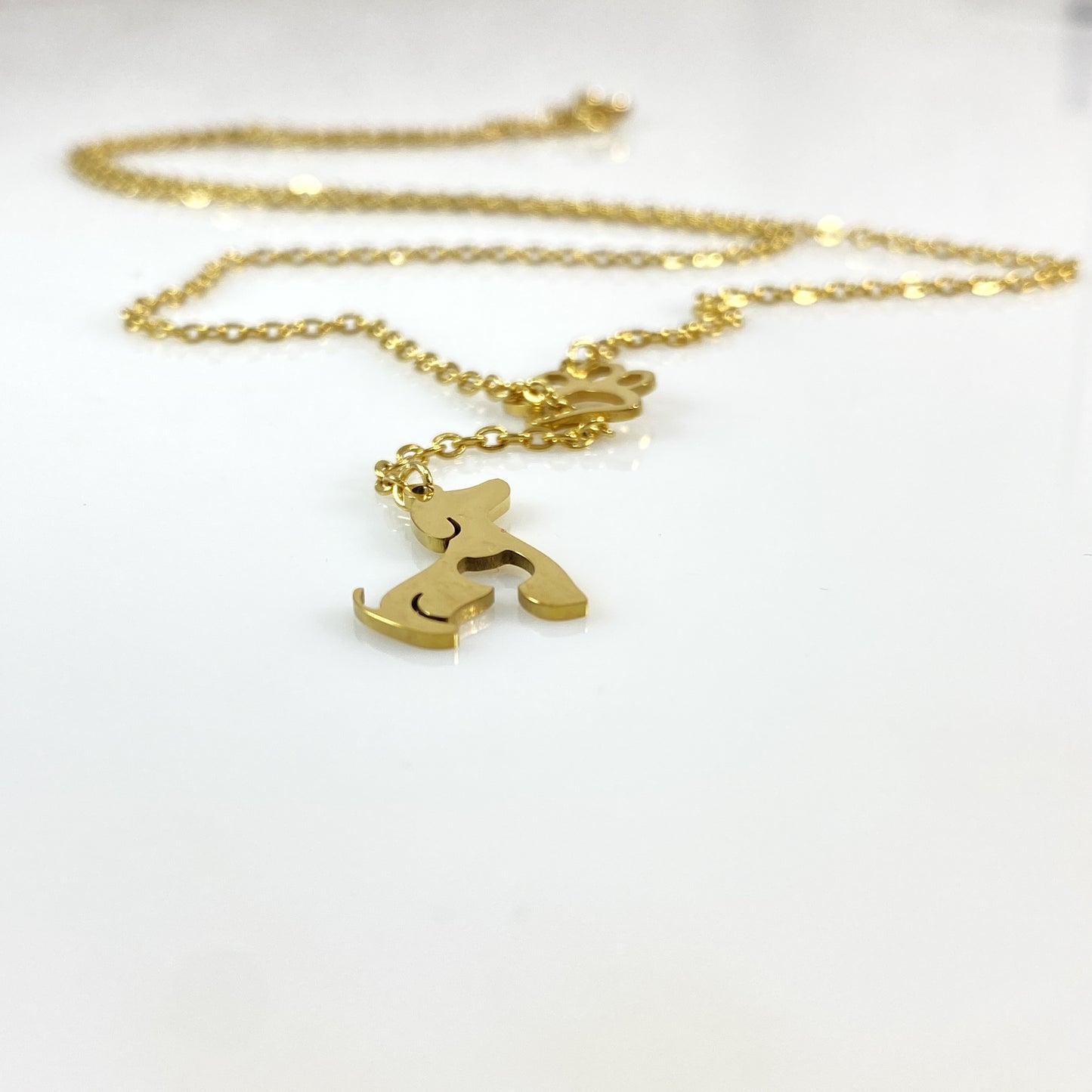 Dachshund Corgi Beagle Labrador Dog & Pawprint Cable Chain Necklace
